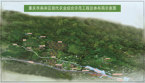 重庆市南岸区现代农业综合示范工程建设规划